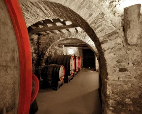 Ciacci Piccolomini cellar