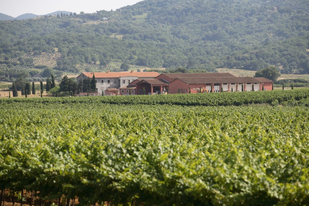 Fertuna winery