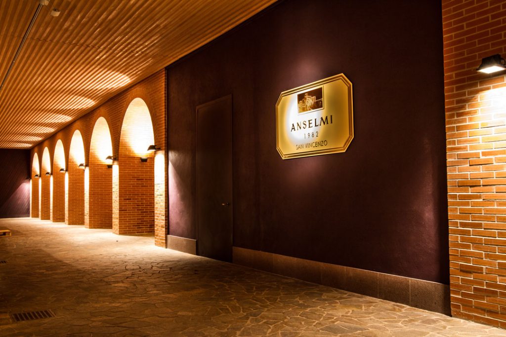 Roberto Anselmi cellar2