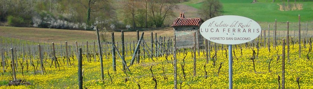 luca ferraris vineyards luca ferraris vineyards
