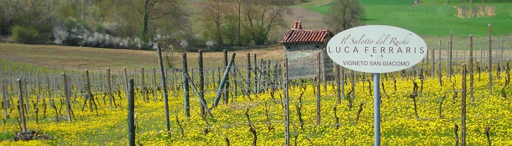 luca ferraris vineyards