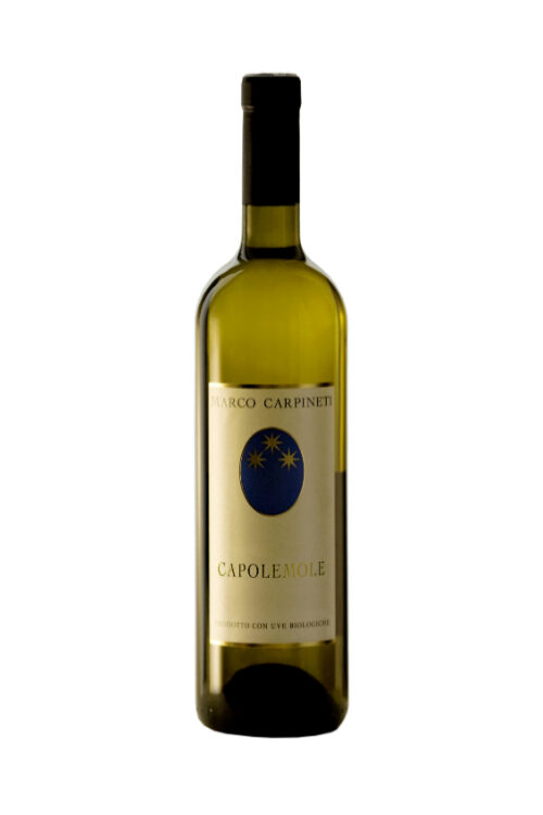 Marco Carpineti Capolemole White