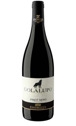 Pinot Nero Golalupo