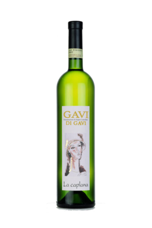 GAVI DI GAVI