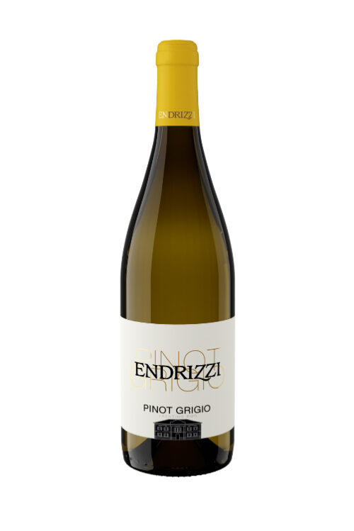 Pinot Grigio Endrizzi