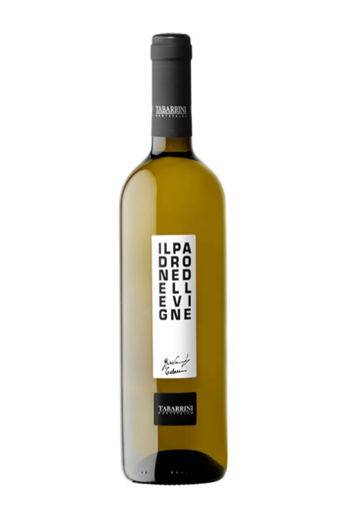 Padrone delle vigne bianco