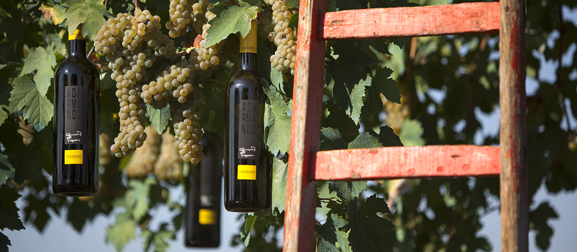 Gianpaolo Tabarrini and his “Adarmando”!