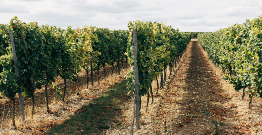 Contact A Taste of Italy Gorey – Front of Store