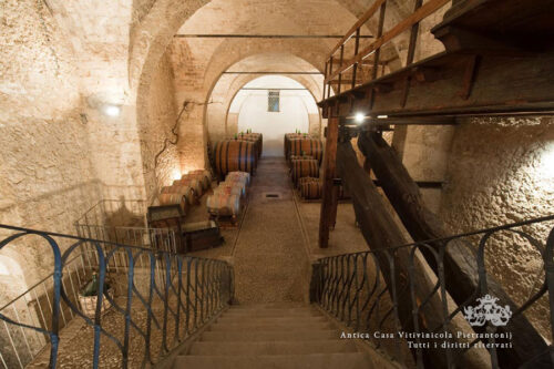 Pietrantonj Winery 2